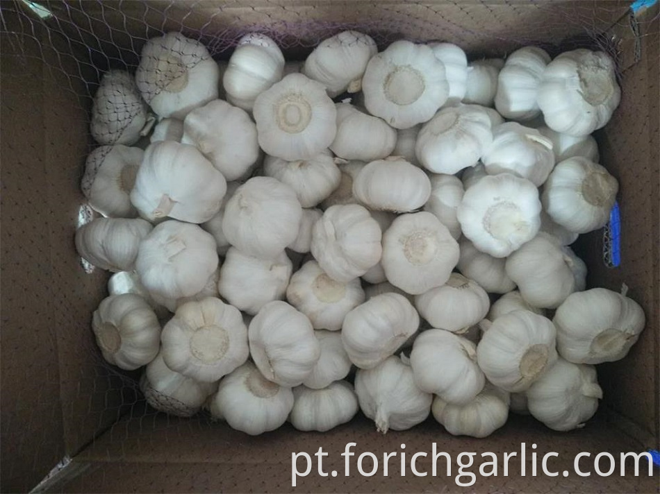 Pure White Garlic